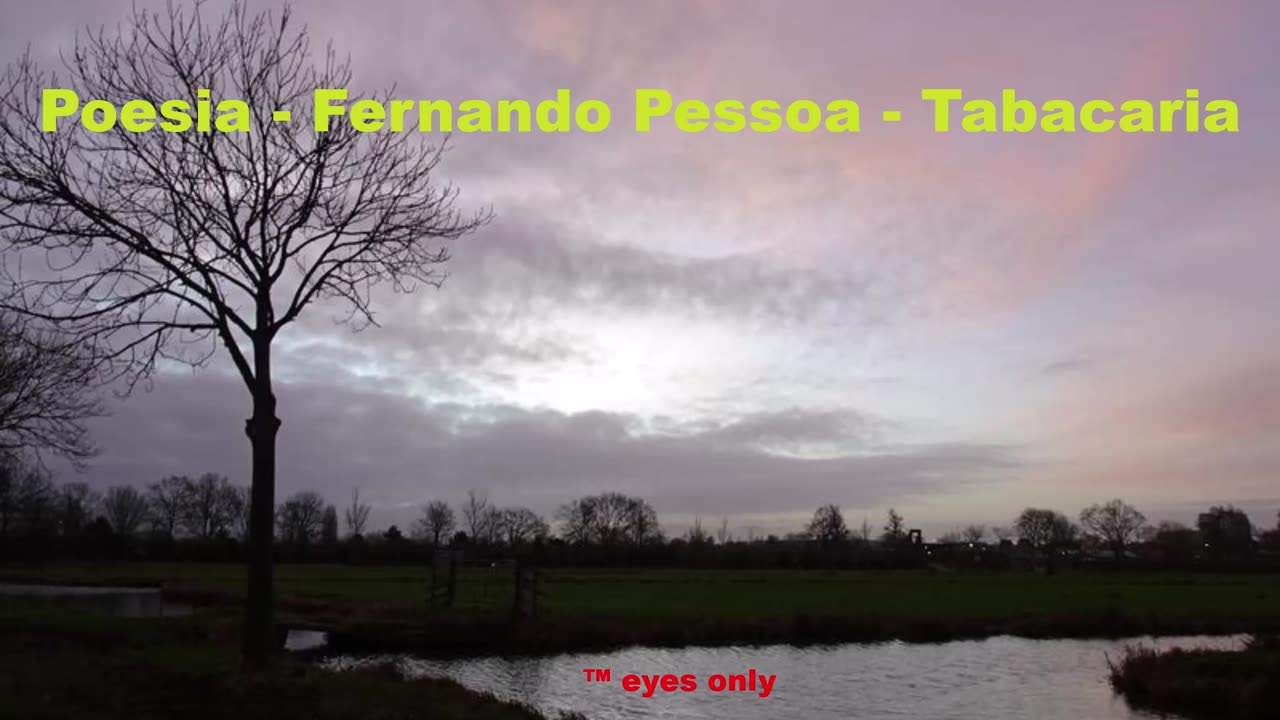 Poesia universal - Fernando Pessoa - Tabacaria