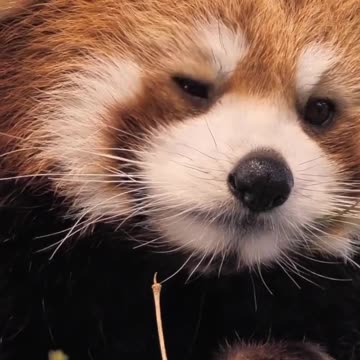 Why u looking at me.Do u need some?