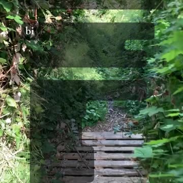 End of a Chapter – Tarot Reading