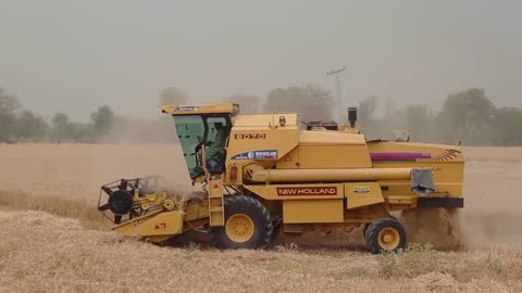 Wheat Harvesting