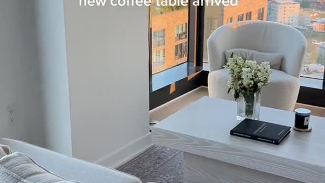 POV: you're a young lawyer in NYC and your new coffee table arrived