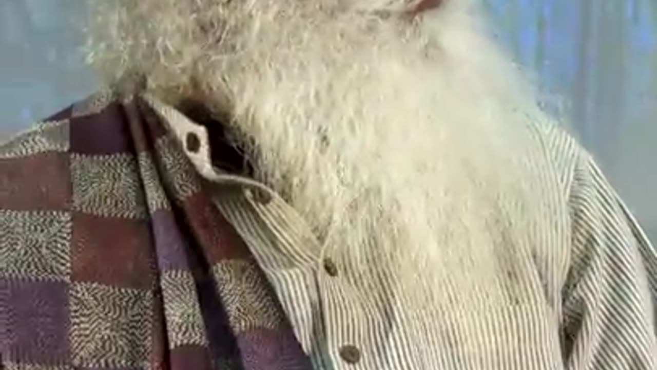 Don't Ever Work Hard! _ Sadhguru