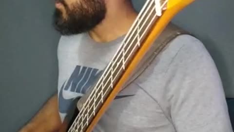 Misael Vieira - Actual Proof - Bass Cover