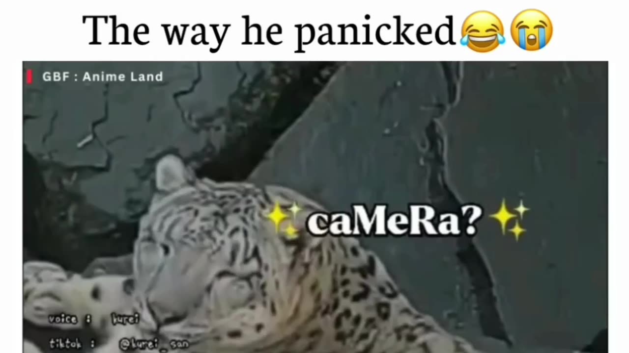 Wow that tiger