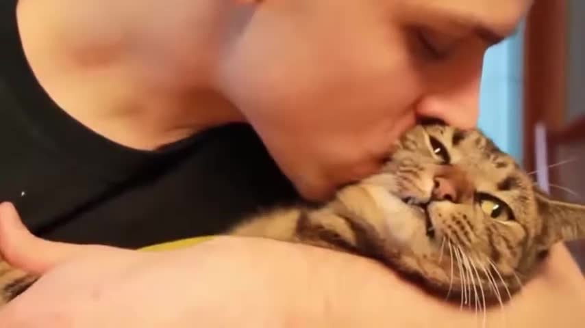 Fun and amusing dog and cat moment2