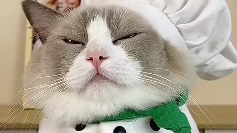 I almost thought he nailed it…😹