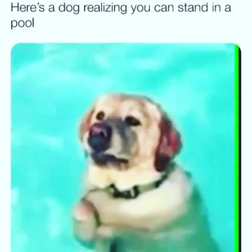 You tellin’ me, I’ve been paddling all my life for nuttin’