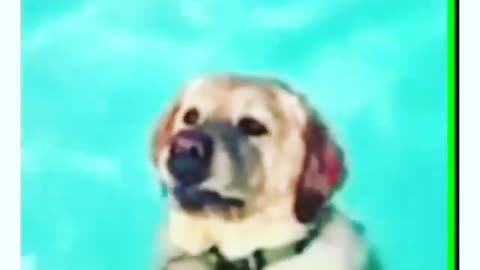You tellin’ me, I’ve been paddling all my life for nuttin’