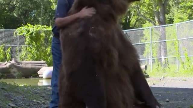 It's amazing that this man gets along so well with Bear