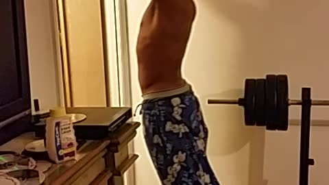 Backwards Pull Ups