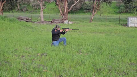 Shooting Ruger No. One at 100 yards