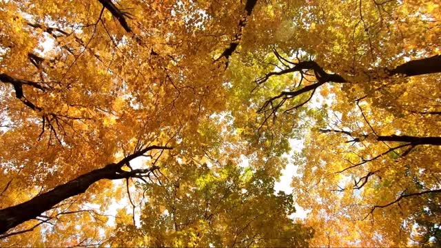 Autumn and winter ntvery beautiful time+ music