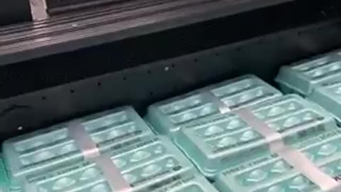 15 USD (dólares) por una docena y media de huevos (enero 2023)