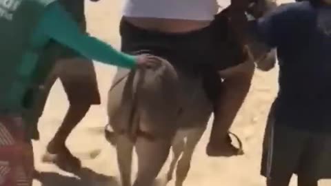 Try not to laugh compilation 😝😂