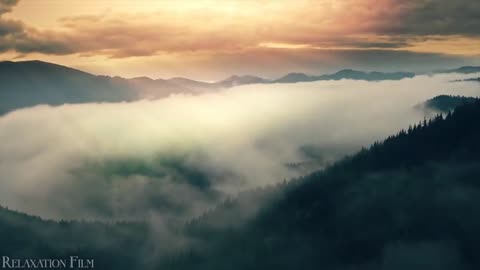 European nature, forest, relaxation film, peaceful relaxing music