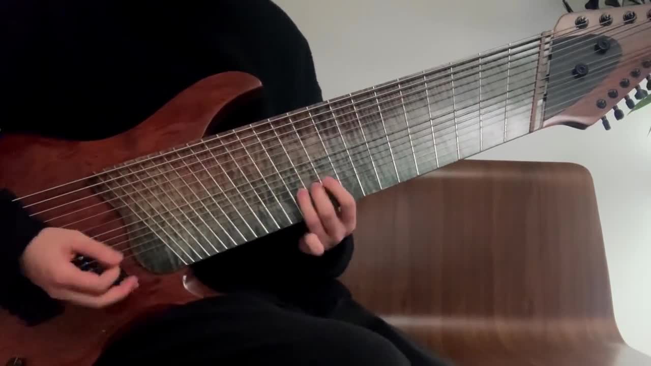 I Play 14 String Guitar