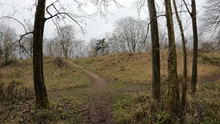 A speed lapse to a tiny woodland to dig a poop hole . Nature calls.