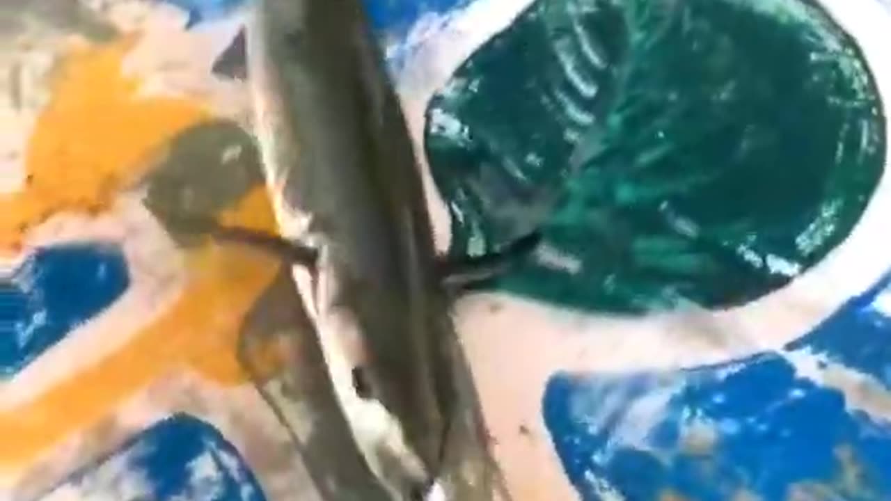 fishing in sea boat Big Fish Caught!!!