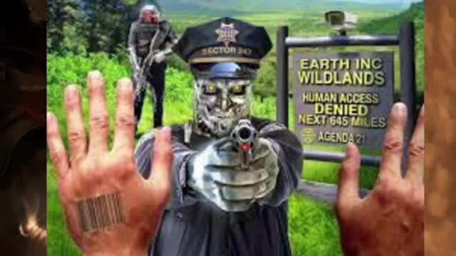 This is America, Revolution or Die!