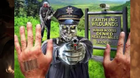 This is America, Revolution or Die!