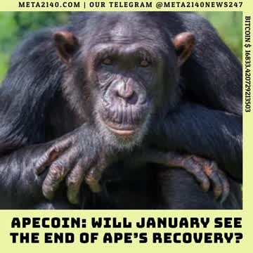 #crypto #Bitcoin #nft #BTC #ETH #ALGO #MATIC #ADA #AZERO #SKL #FTM #COSMOS #FUEL #SENSO #CRO