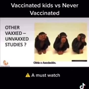 Vaccinated Kids VS never vaccinated Kids