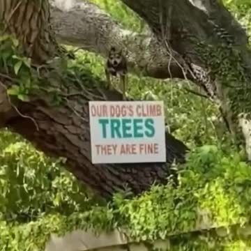 let's laugh not to cry 10