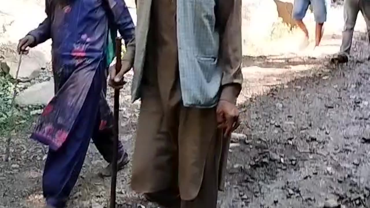 पहाड़ी खच्चर कश्मीर मैं फिल्म्स शुटिंग के दौरान