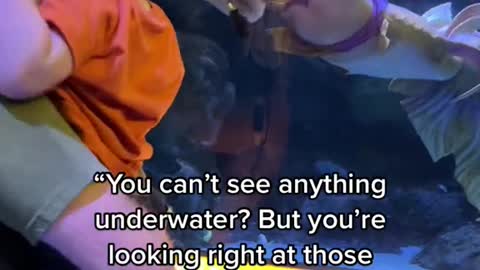 “You can't see anything underwater? But you're looking right at those people!”แum