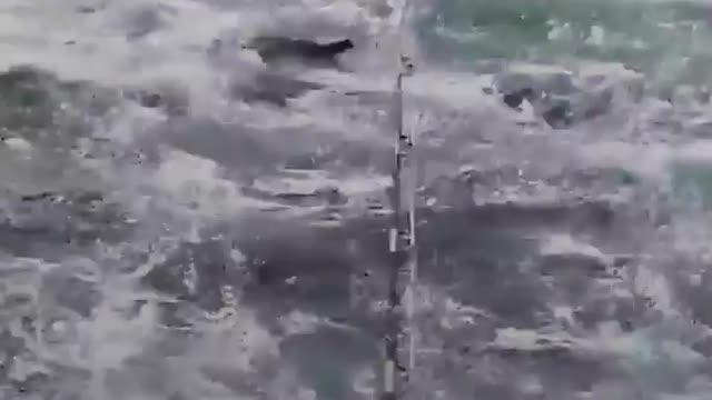 SHOCKING Hundreds of Dolphins surround boat