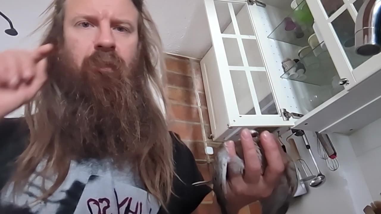 2023-05-26 (1) - oizo - Twitch Meutemediatique