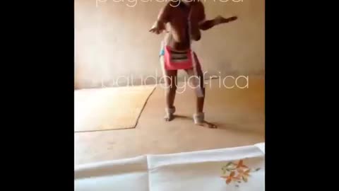 Vavhenda Culture