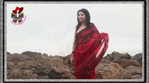 Suhani Sringaar Saree Video