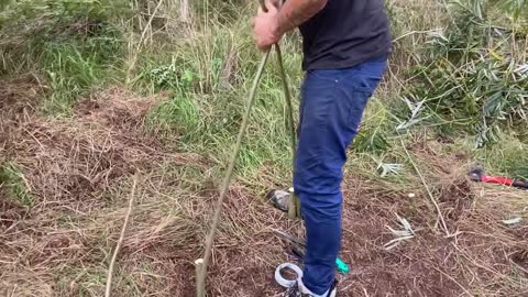 Building A Clay Bushcraft Survival Shelter