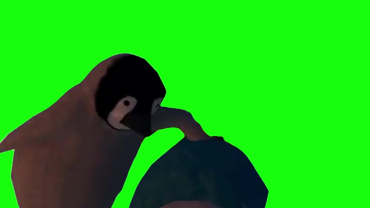 Penguin Beating Up Another Penguin | Green Screen