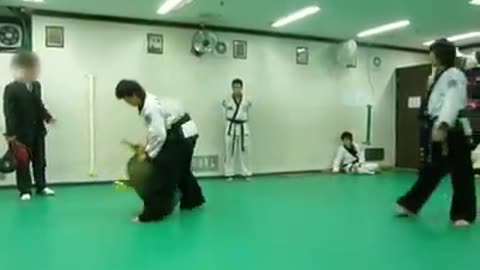 Hapkido