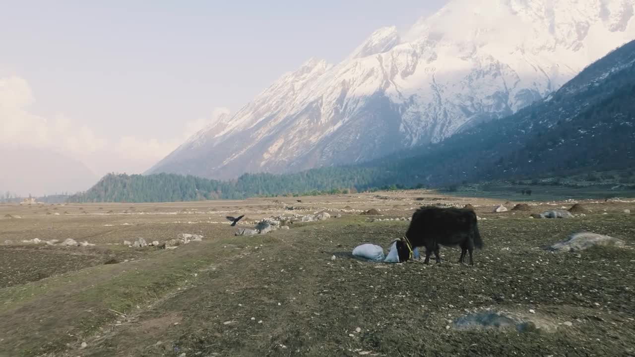 Heaven is myth beauty of Nepal is real.........