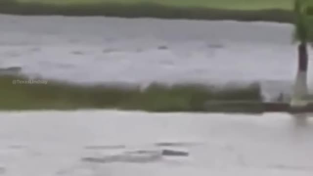 SHARKNADO LIVES: Sharks Seen Swimming in the Streets of Ft. Myers After Hurricane Ian Moves Inland