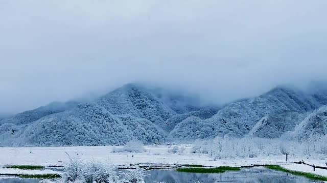 What about playing? A heavy snowfall in Dajiuhu Lake. The snow in April is beautiful