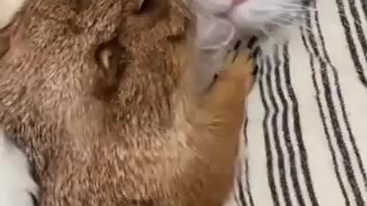 Besties