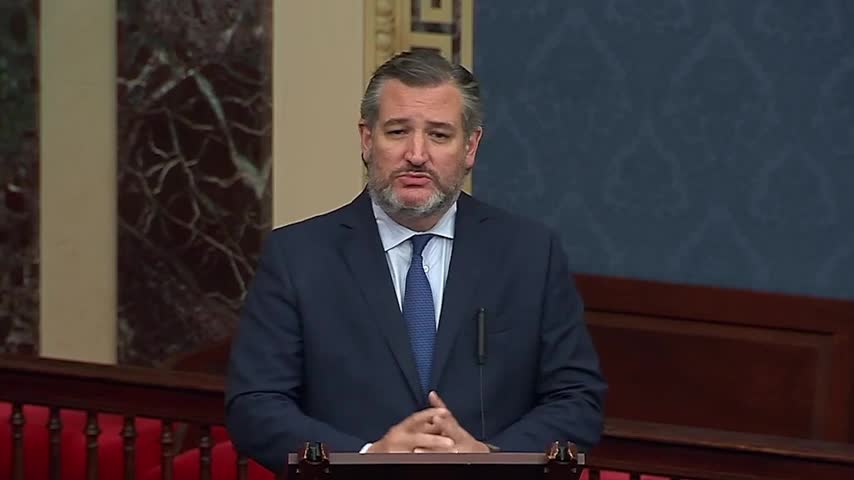 Ted Cruz calls out BIDEN for LYING on Senate floor