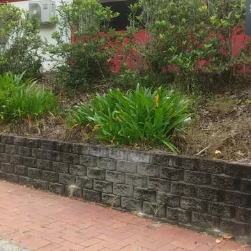 31.10.2024 Kuranda Post Office Car Park (3)