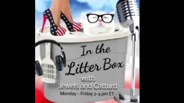 Hillary for prison - In the Litter Box w/ Jewels & Catturd 2/18/2022 - Ep. 23