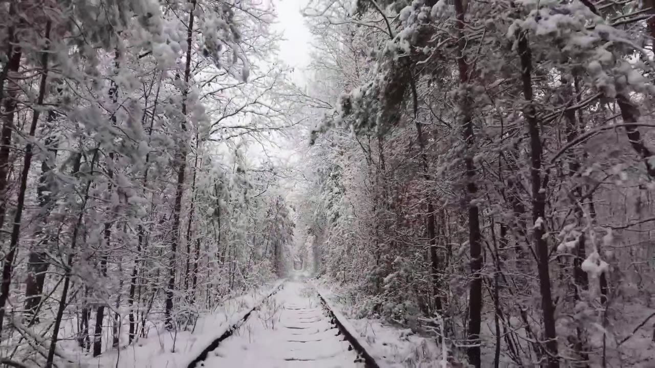 Tunnel of love