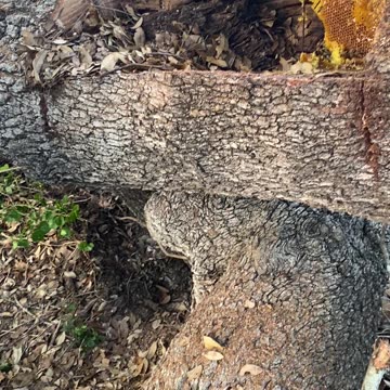 Happy Father’s Day! This dad does more work today, than most dads do all week. 2 of 5