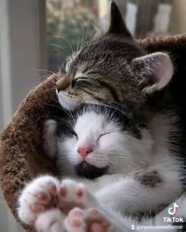 Abide In The Deep Well Of Contentment