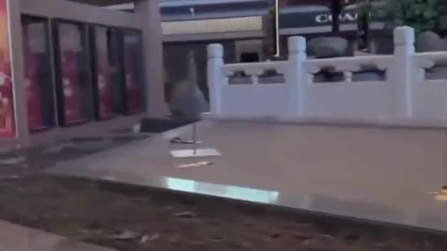 Aeroporto Internacional de Pequim - China