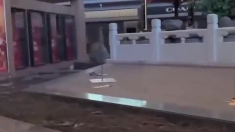 Aeroporto Internacional de Pequim - China