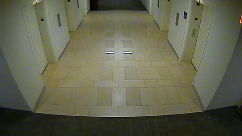 8404OHOB03O3A2MainElevatorLobby_2021-01-06_20h40min01s797ms.mp4