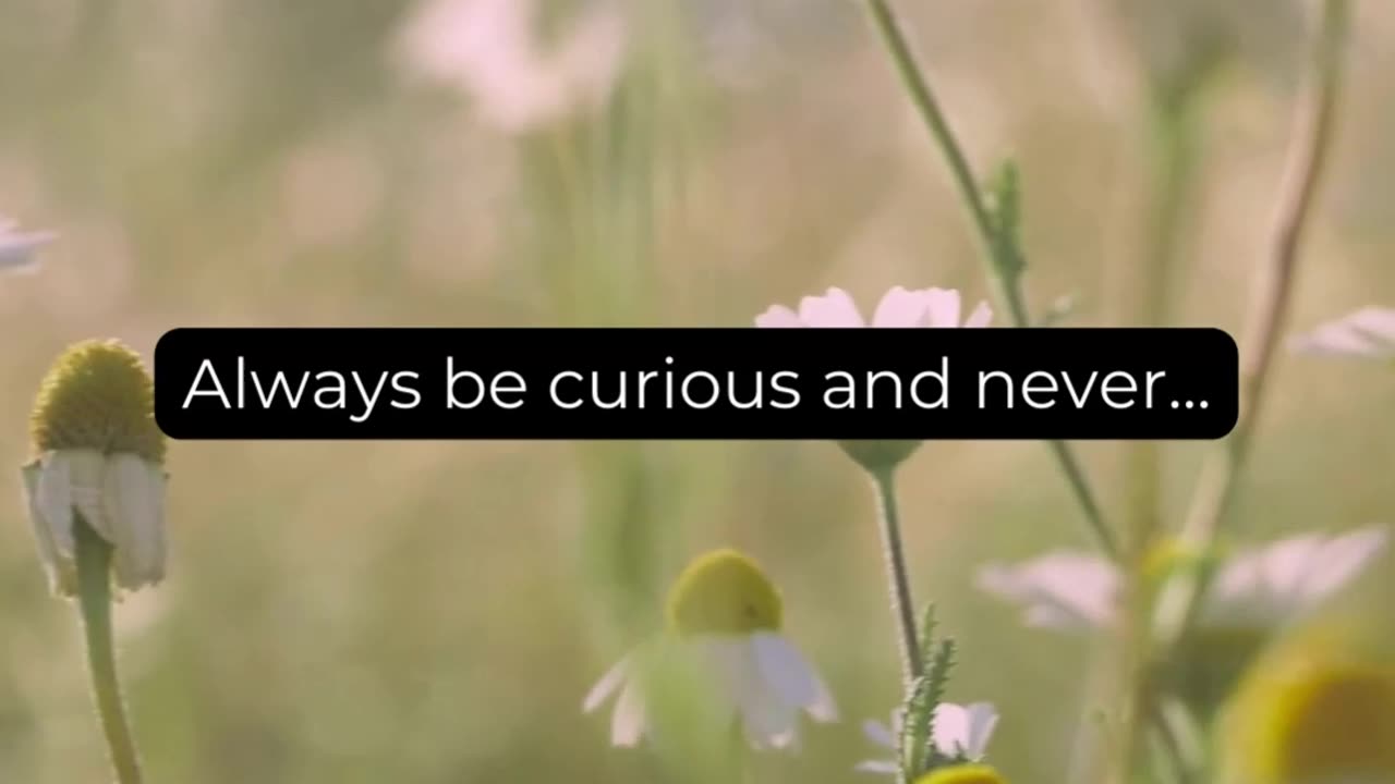 Always be curious and never